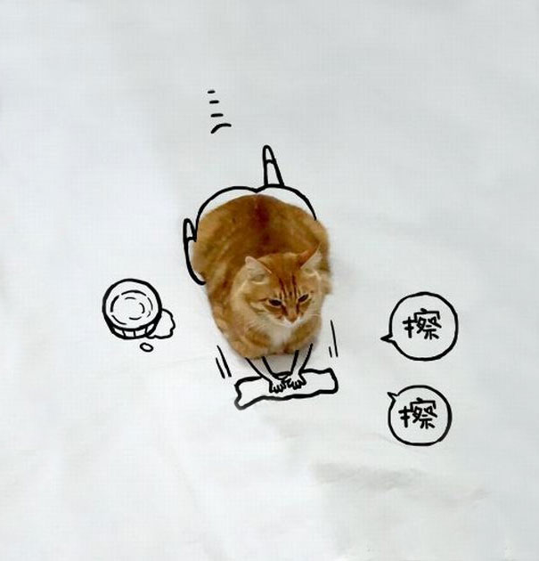meme-foto-gato-dibujos-divertidos (12)