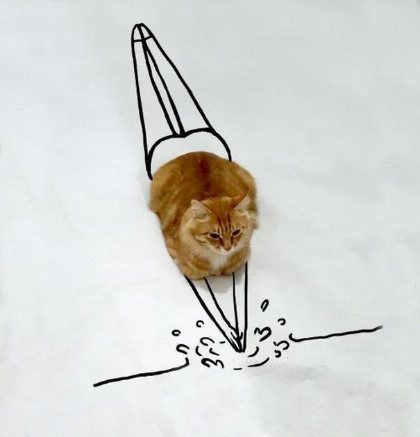 meme-foto-gato-dibujos-divertidos (14)