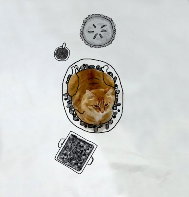 meme-foto-gato-dibujos-divertidos (5)