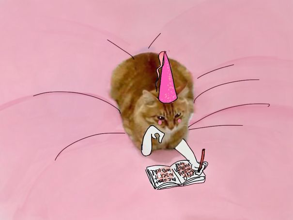 meme-foto-gato-dibujos-divertidos (8)