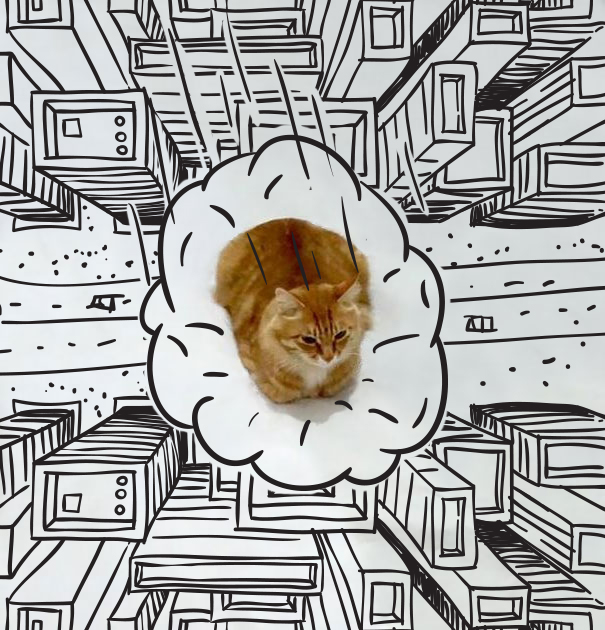 meme-foto-gato-dibujos-divertidos (9)