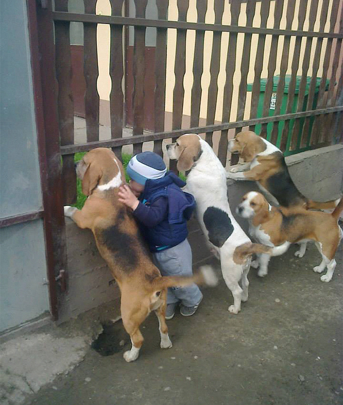 ninos-necesitan-mascotas (7)
