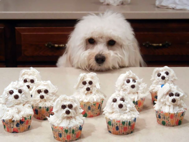 pastelitos-cupcakes-creativos (7)