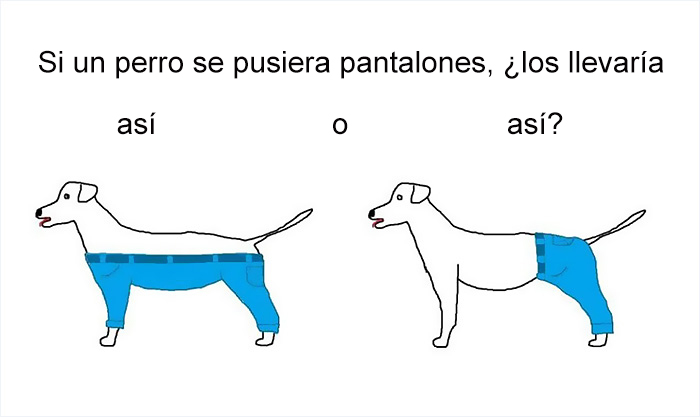 preguntas-dificiles-perro-pantalones-1