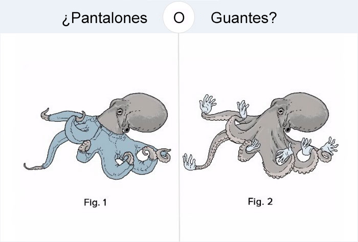 preguntas-dificiles-perro-pantalones-6