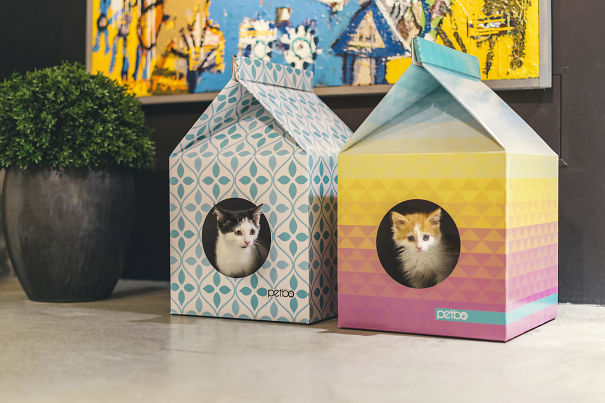 regalos-para-amantes-de-gatos (8)