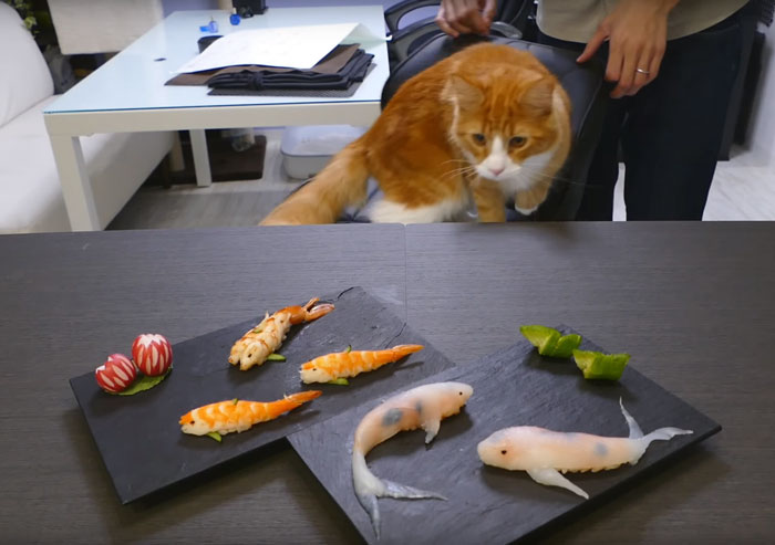 sushi-forma-carpa-koi-junskitchen (4)