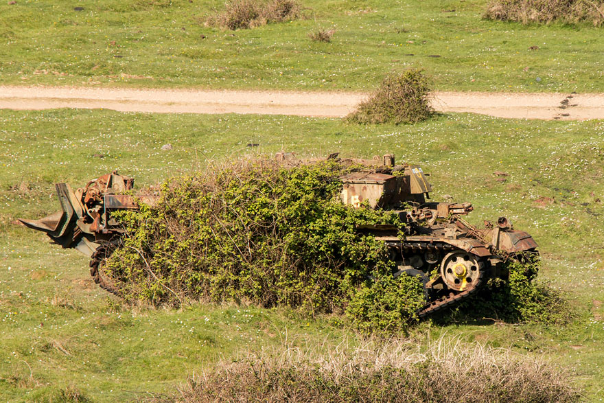 tanques-devorados-naturaleza (13)