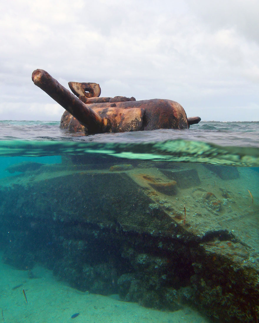 tanques-devorados-naturaleza (7)