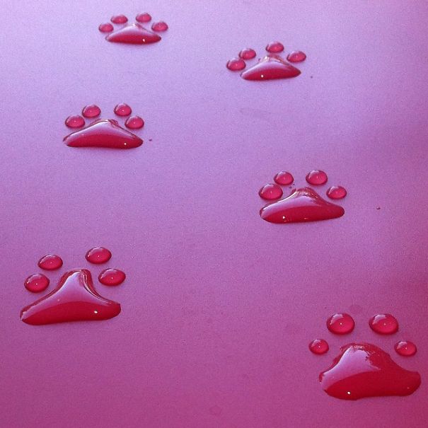 arte-agua-aravis-dollmenna (8)