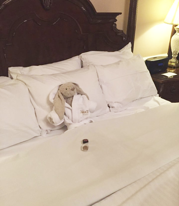 aventuras-conejo-peluche-perdido-hotel-adare-manor (4)