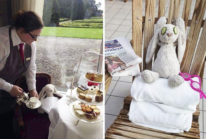 Una niña olvidó su conejo de peluche en el hotel y el personal se lo llevó de aventuras