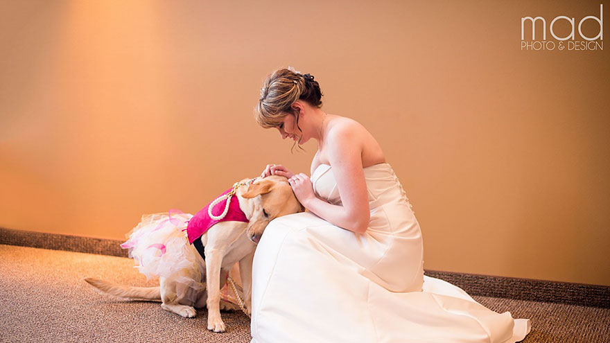 bella-perro-asistencia-boda-valerie-parrot (3)