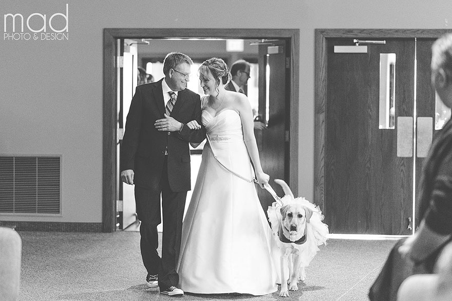 bella-perro-asistencia-boda-valerie-parrot (5)