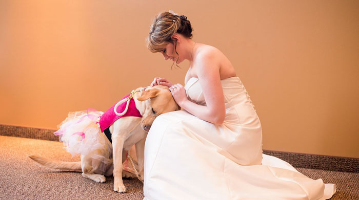 Este perro de asistencia consiguió calmar el ataque de ansiedad de la novia en el día de su boda