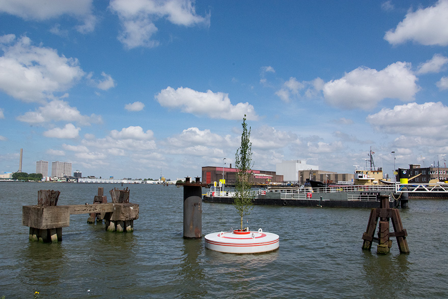 bosque-oscilante-arboles-flotantes-rotterdam (1)