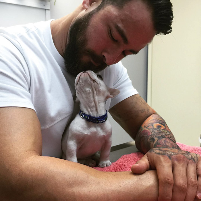 cachorro-bulldog-frances-link-sean-sarantos (1)