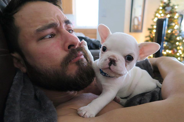 cachorro-bulldog-frances-link-sean-sarantos (5)