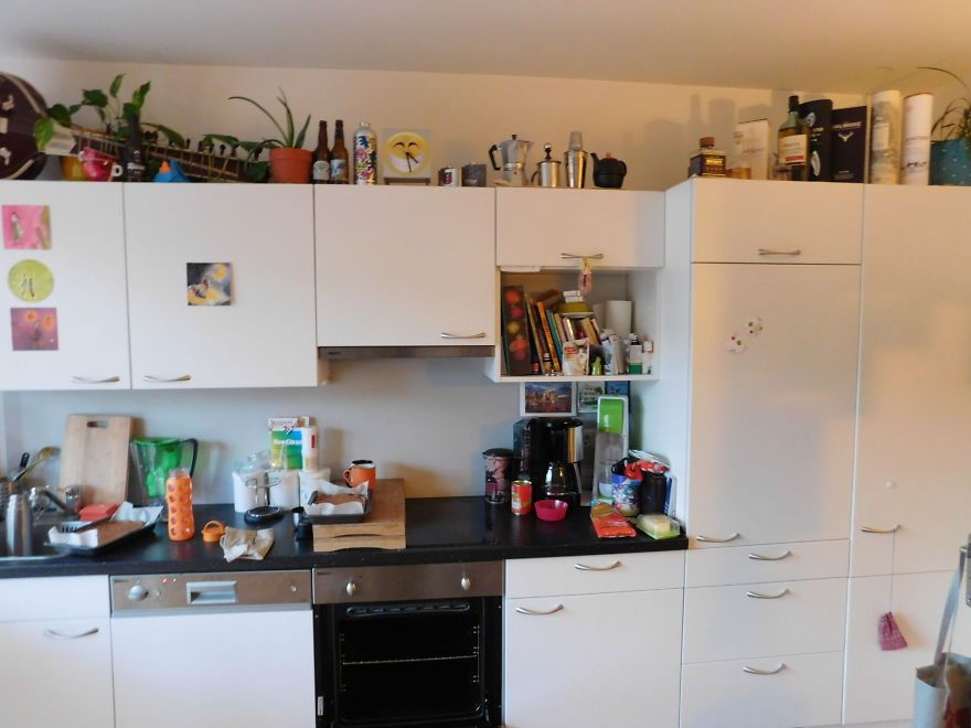 encuentra-gato-pedro-cocina