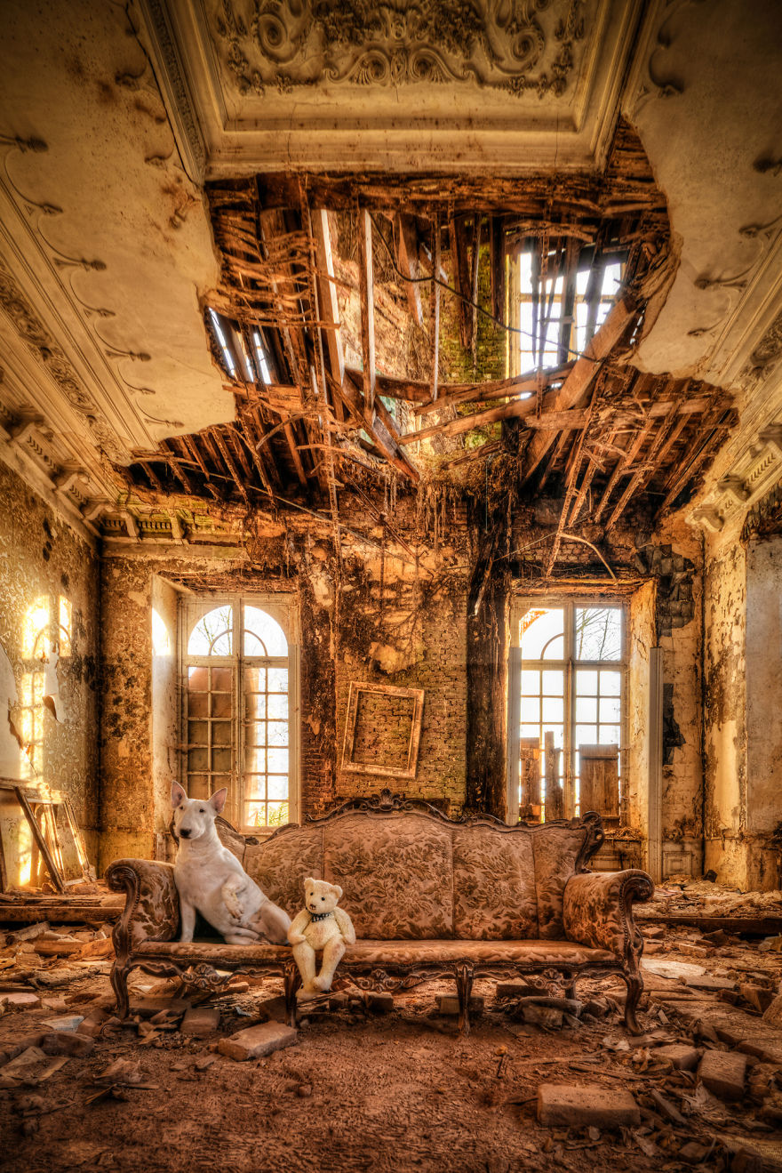 exploracion-lugares-abandonados-perro-claire-alice-van-kempen (1)
