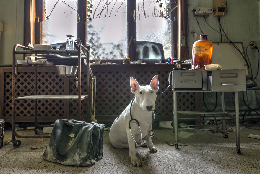 exploracion-lugares-abandonados-perro-claire-alice-van-kempen (10)
