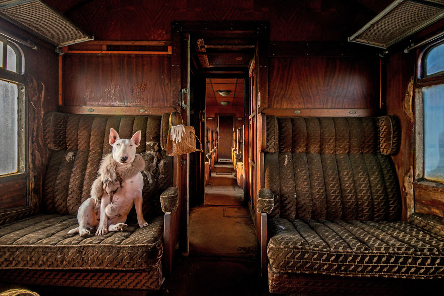 exploracion-lugares-abandonados-perro-claire-alice-van-kempen (12)