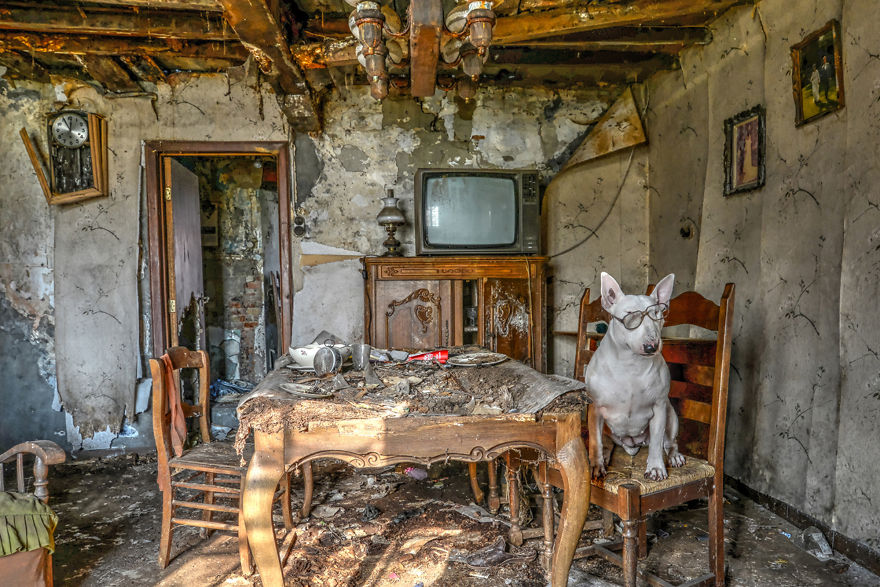 exploracion-lugares-abandonados-perro-claire-alice-van-kempen (18)