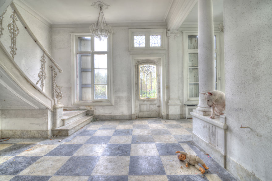 exploracion-lugares-abandonados-perro-claire-alice-van-kempen (19)