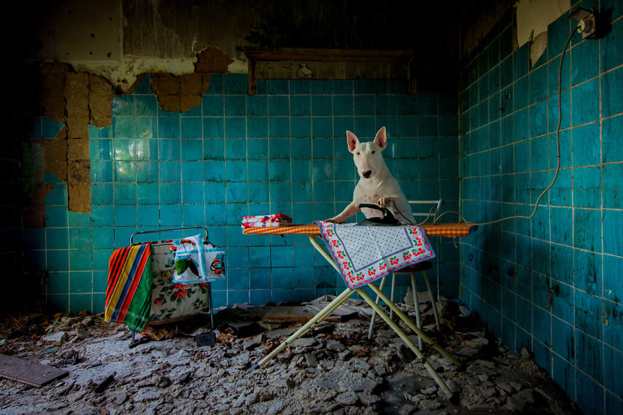 exploracion-lugares-abandonados-perro-claire-alice-van-kempen (7)