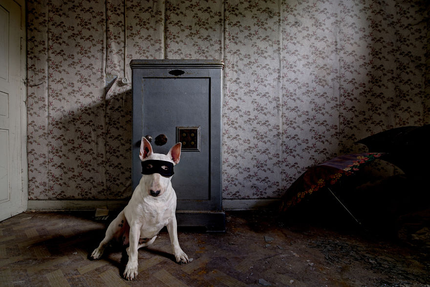 exploracion-lugares-abandonados-perro-claire-alice-van-kempen (8)