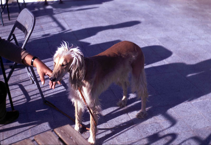 fotos-afganistan-1967-bill-podlich (7)