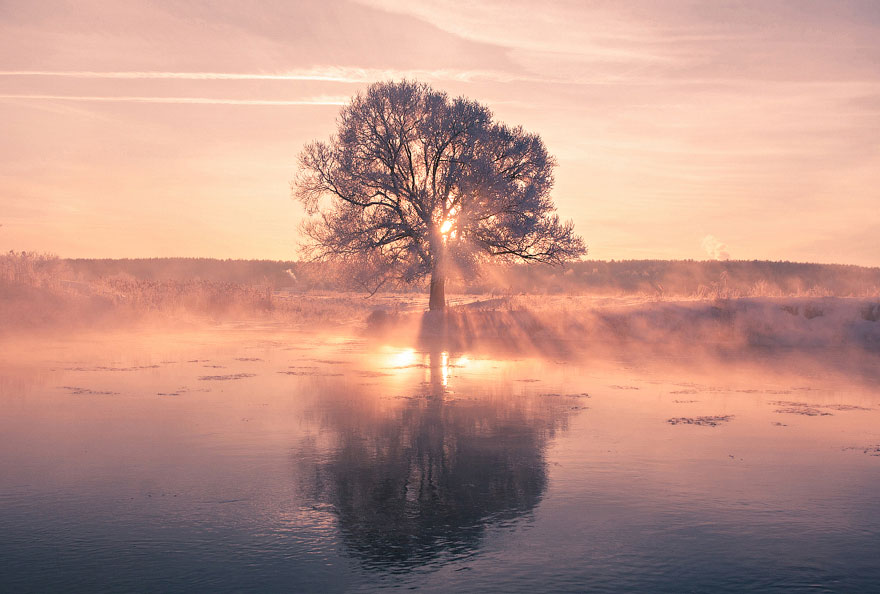 Colorful winter morning
