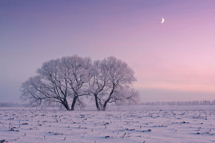 Frosty winter morning