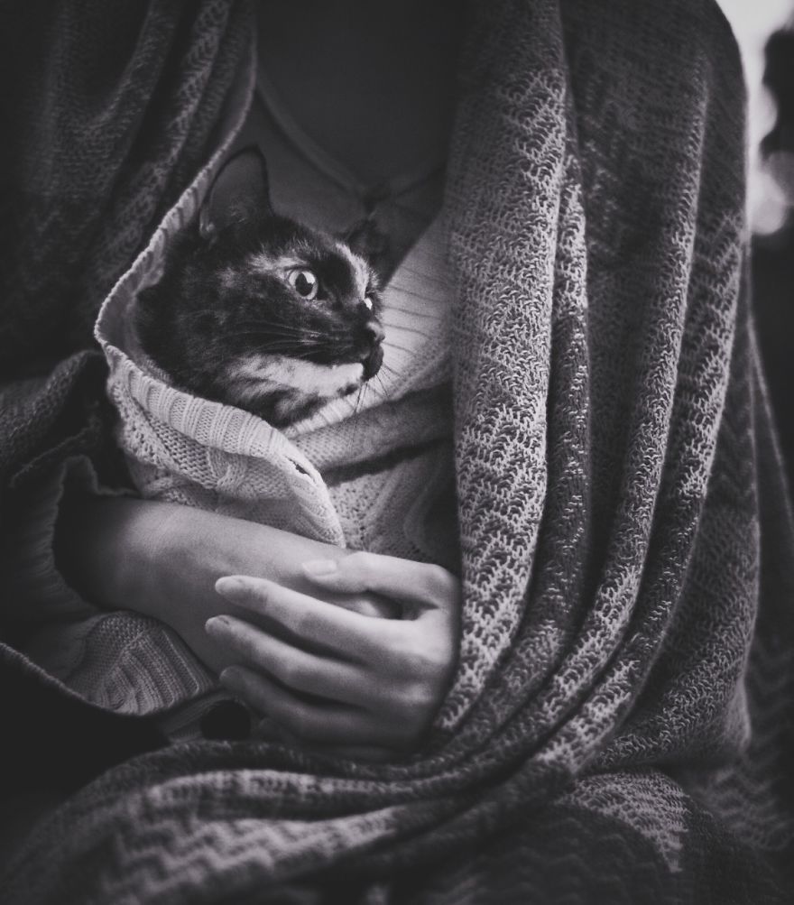 fotos-gato-estaciones (15)