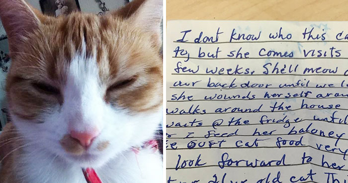 Este gato volvió a casa con una nota revelando que tiene una familia secreta