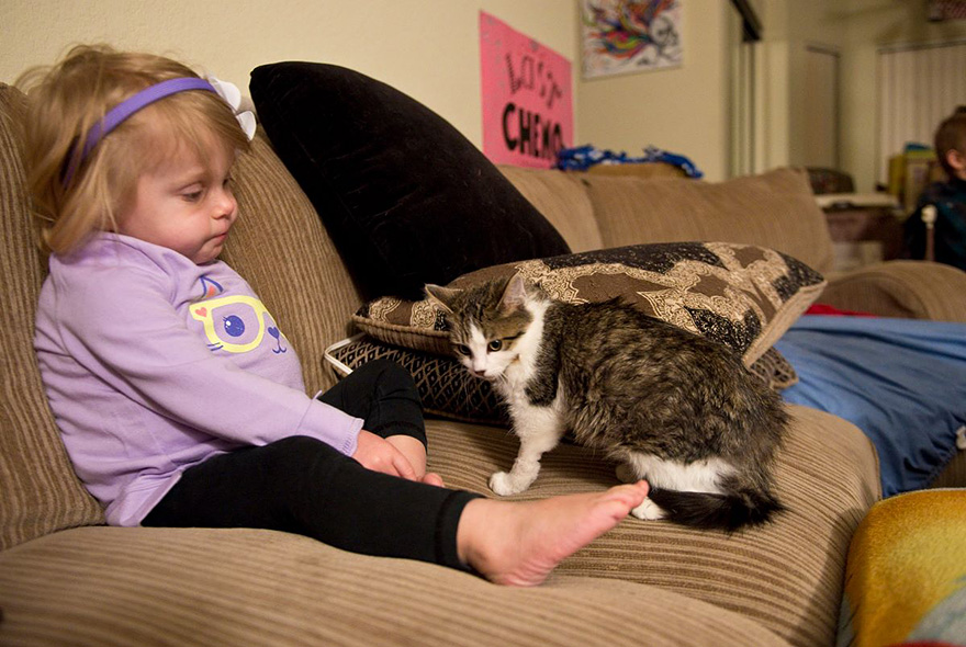 gato-nina-amputados-doc-scarlette-tipton (6)