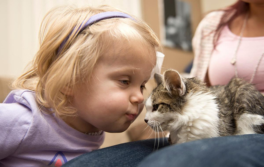 gato-nina-amputados-doc-scarlette-tipton (7)