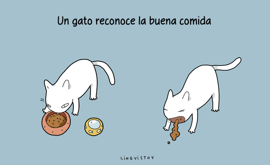 ilustraciones-beneficios-tener-gato-lingvistov-10