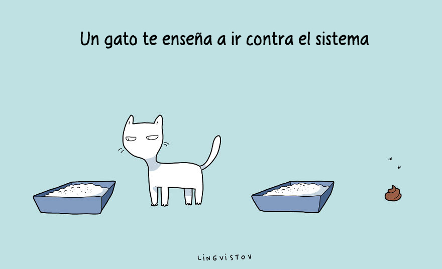 ilustraciones-beneficios-tener-gato-lingvistov-13