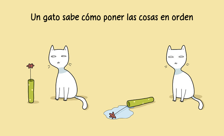 ilustraciones-beneficios-tener-gato-lingvistov-14