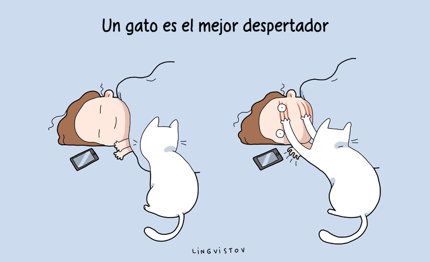 ilustraciones-beneficios-tener-gato-lingvistov-15
