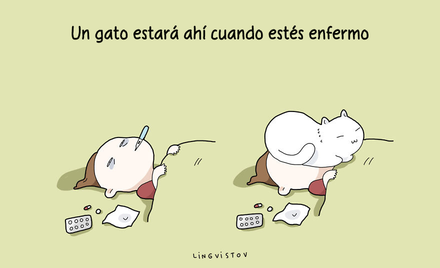 ilustraciones-beneficios-tener-gato-lingvistov-16