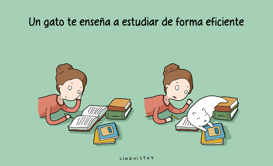 ilustraciones-beneficios-tener-gato-lingvistov-3