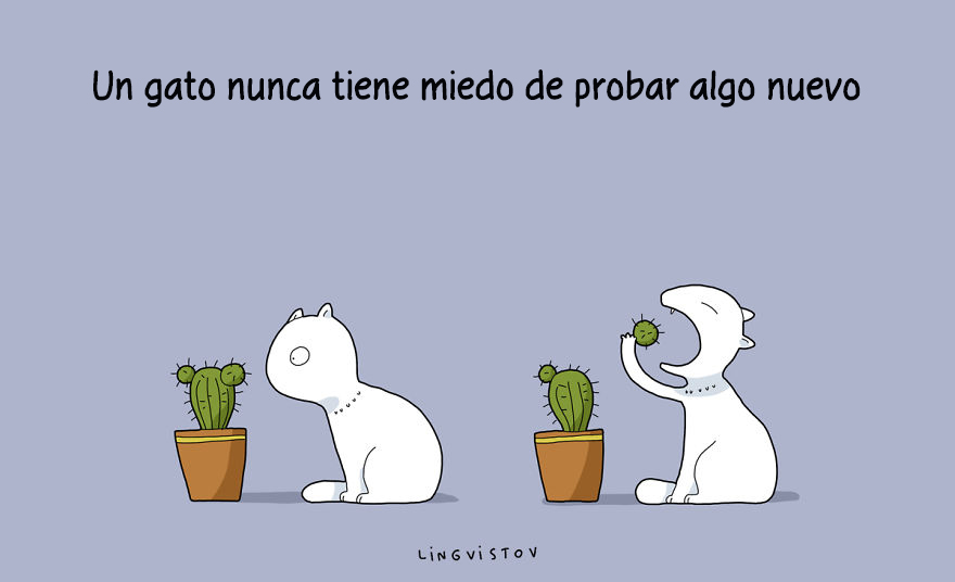 ilustraciones-beneficios-tener-gato-lingvistov-7