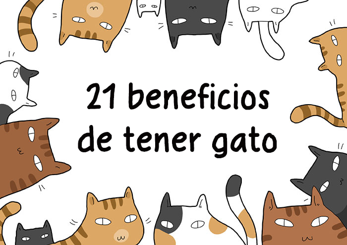 21 Beneficios de tener gato