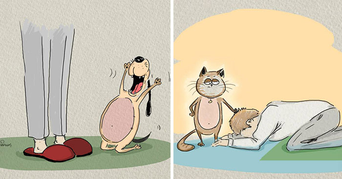 Gatos Vs Perros: 6 diferencias ilustradas por Bird Born