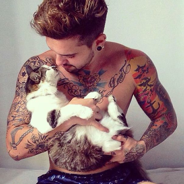 instagram-tios-buenos-gatos (1)