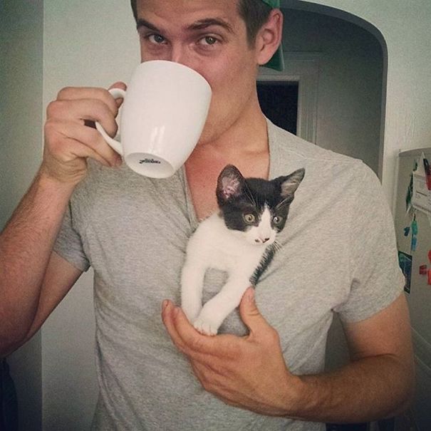 instagram-tios-buenos-gatos (11)