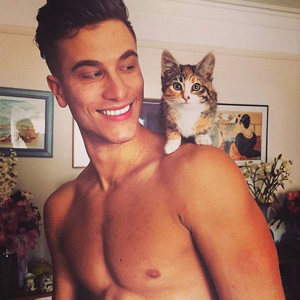 instagram-tios-buenos-gatos (12)
