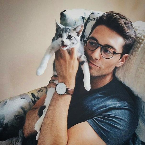 instagram-tios-buenos-gatos (14)